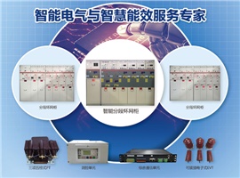 什么是智能分段環(huán)網(wǎng)柜？一圖告訴您！