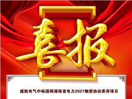 威勝電氣中標(biāo)國(guó)網(wǎng)湖南省電力2021物資協(xié)議庫(kù)存項(xiàng)目